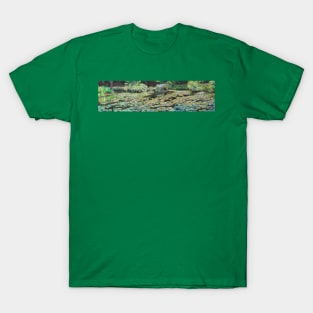 Fires Creek Lily Pond T-Shirt